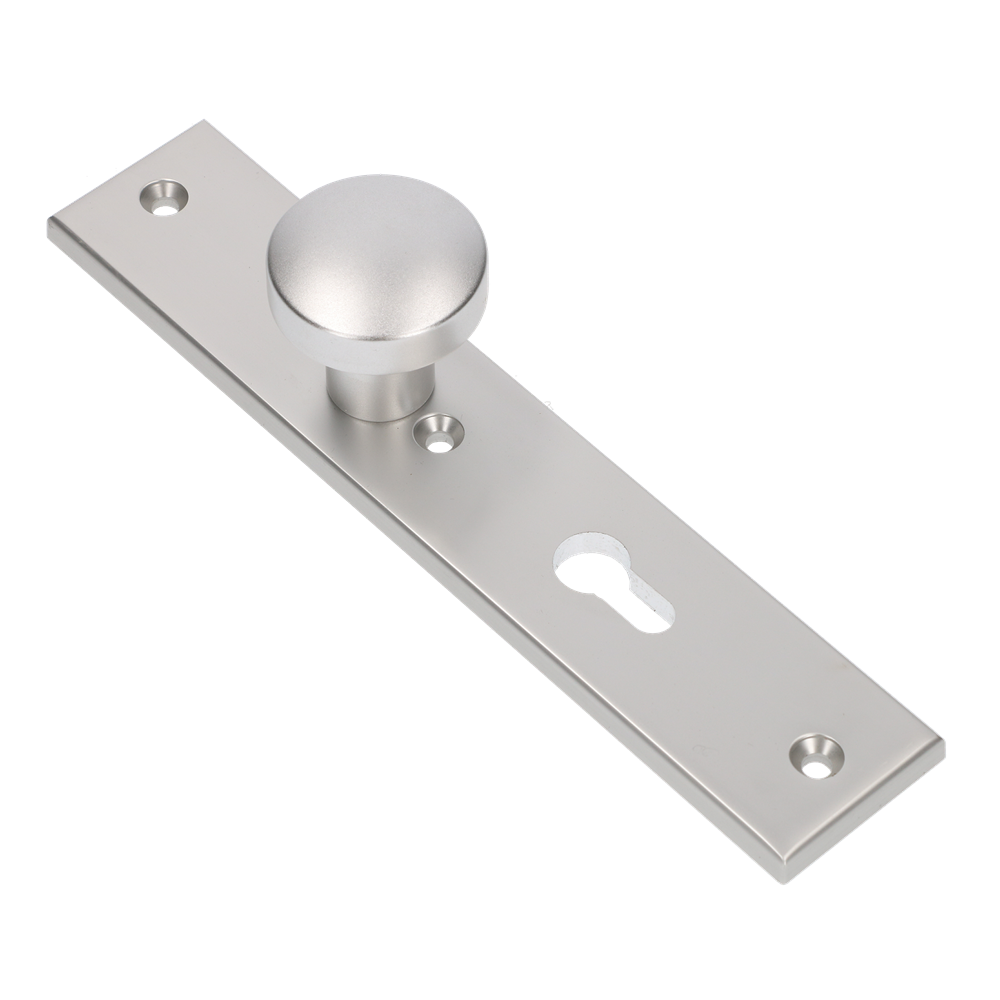 AMI Knop 169/50 Vast Langschild 251/50/8 Profielcilinder 55 R6,5 F1 - 323964